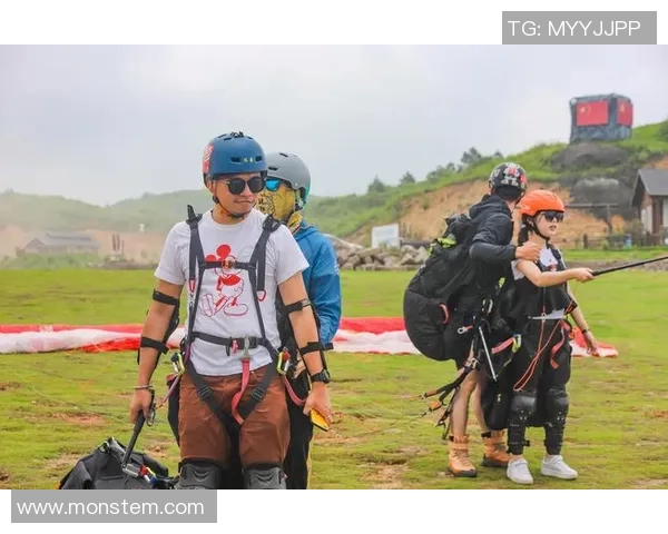 杭州极限运动队的灵活性分析与发展趋势探讨